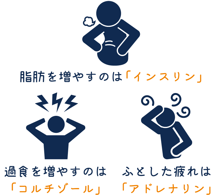 脂肪を増やすのは「インスリン」過食を増やすのは「コルチゾール」ふとした疲れは「アドレナリン」